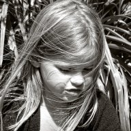 Amanda sellers