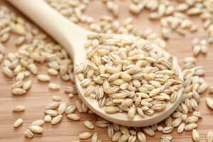 Pearl barley in a wooden spoon. Close-up.