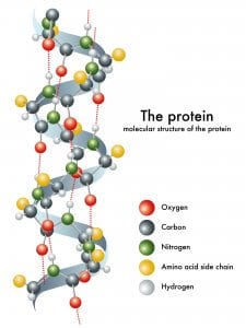 protein structure