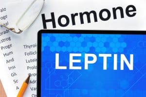 hormone leptic board